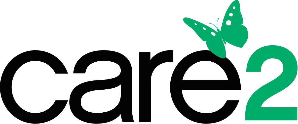 Sponsor 4